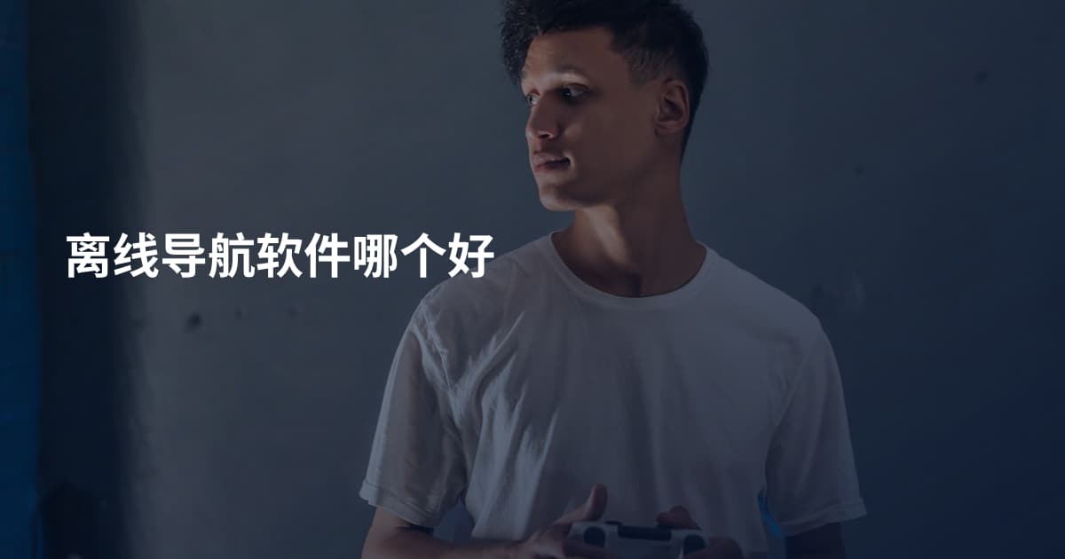 离线导航软件哪个好