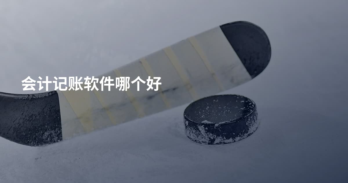 会计记账软件哪个好