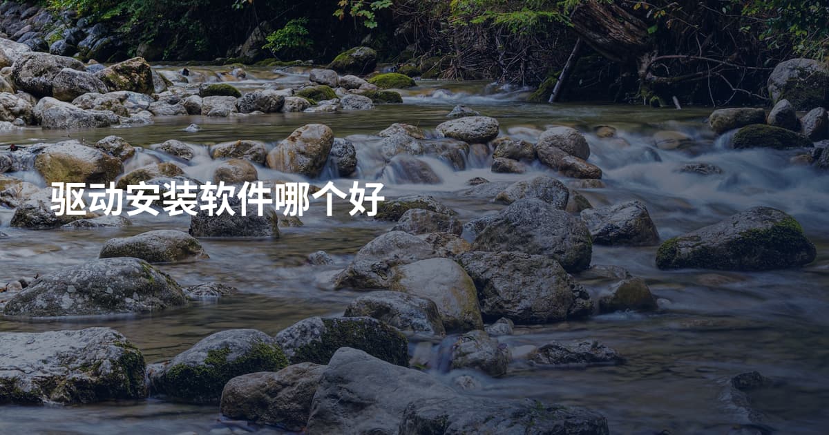 驱动安装软件哪个好