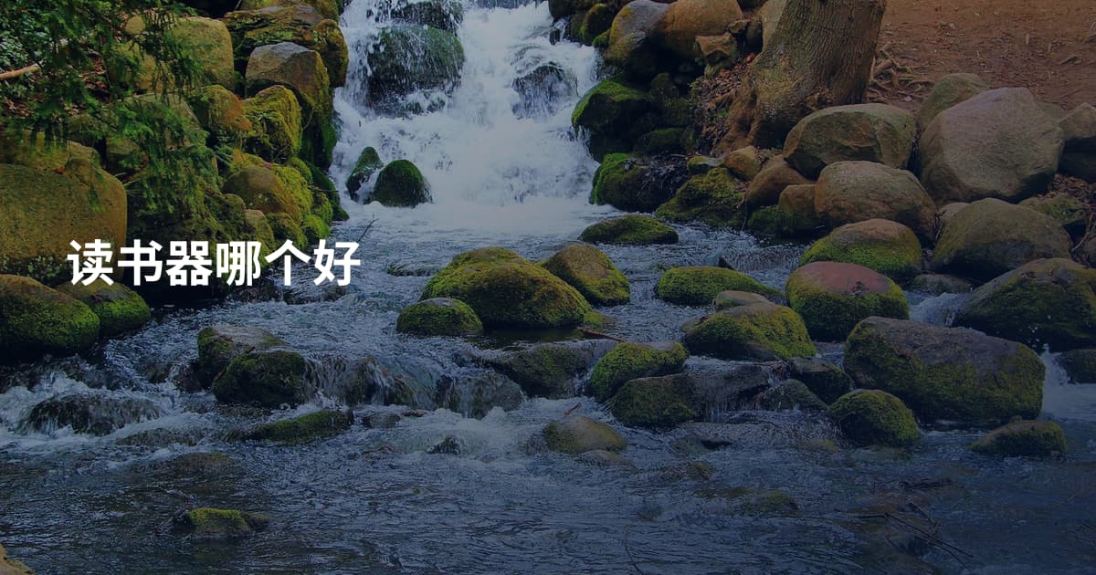 读书器哪个好