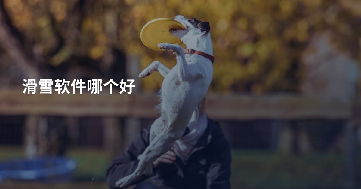 滑雪软件哪个好