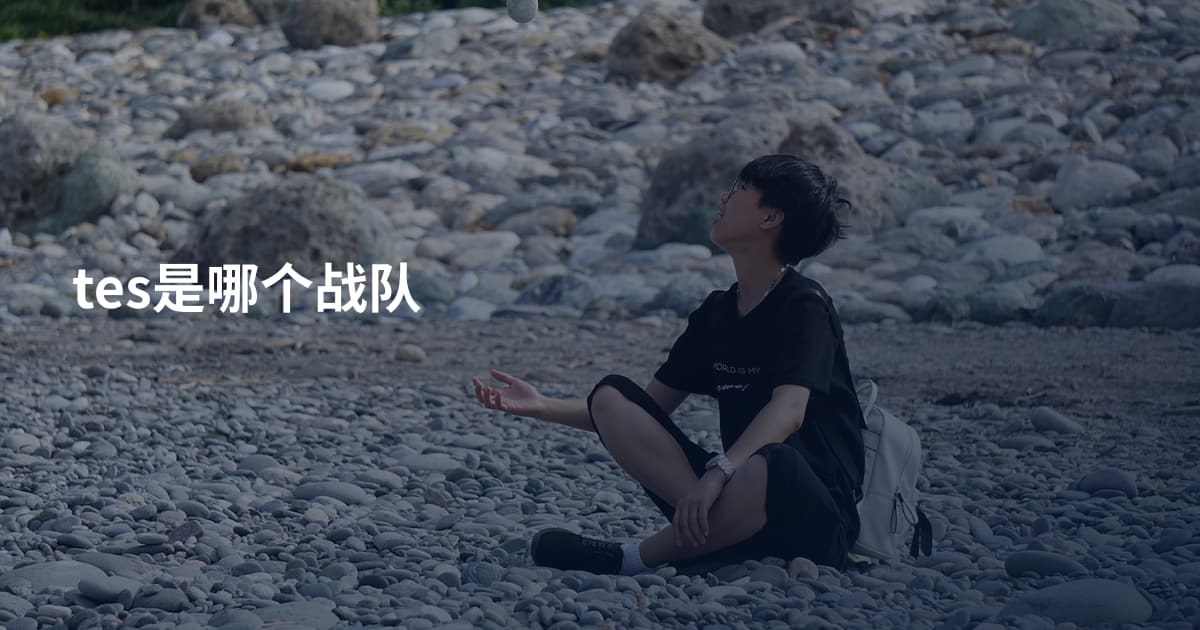 tes是哪个战队