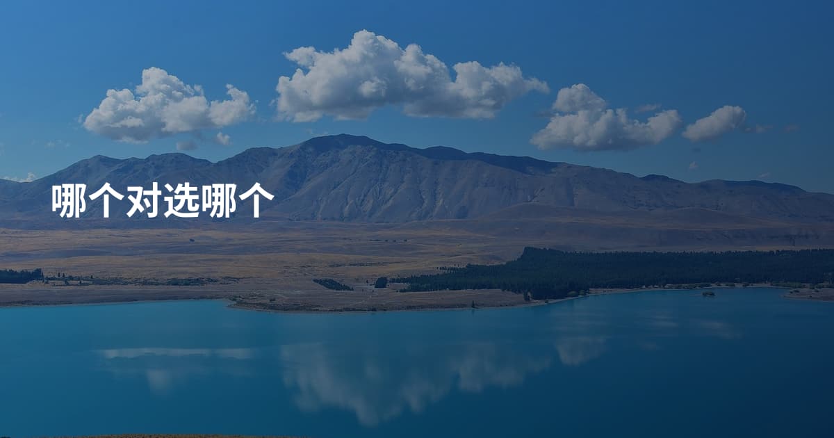 哪个对选哪个