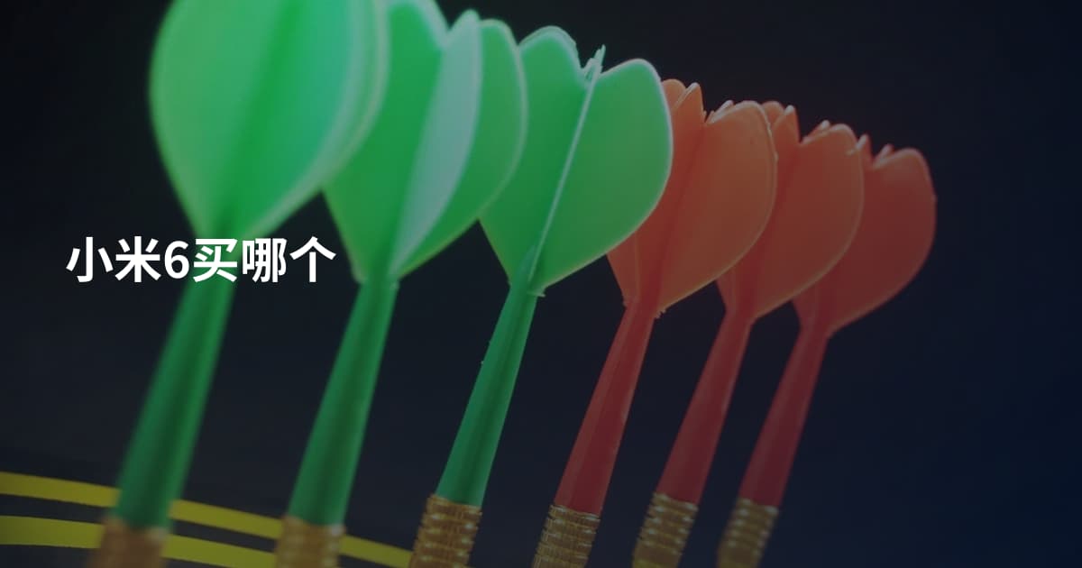 小米6买哪个