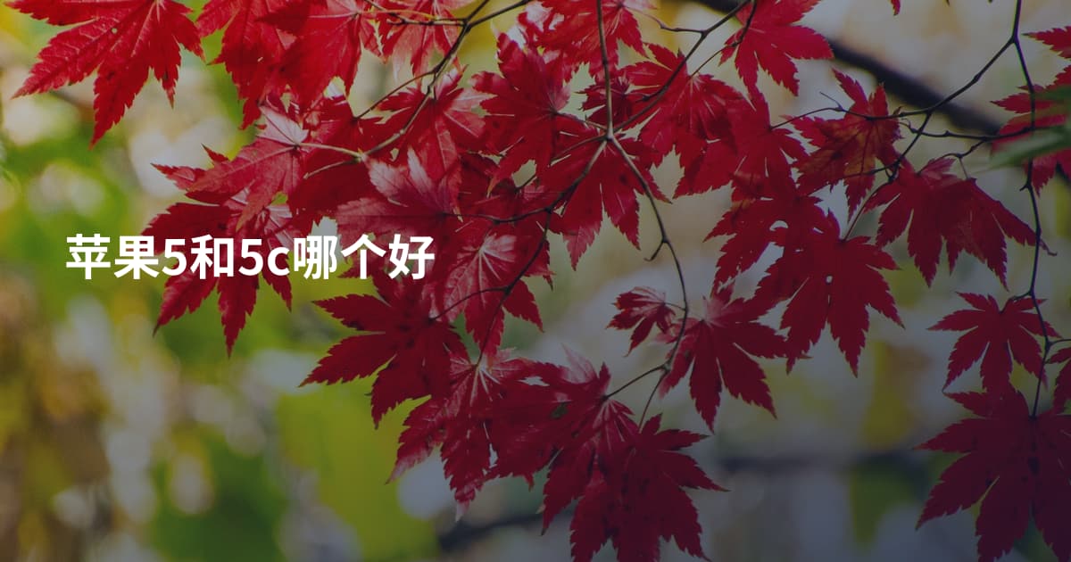 苹果5和5c哪个好
