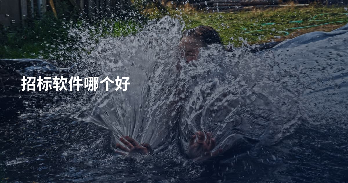 招标软件哪个好