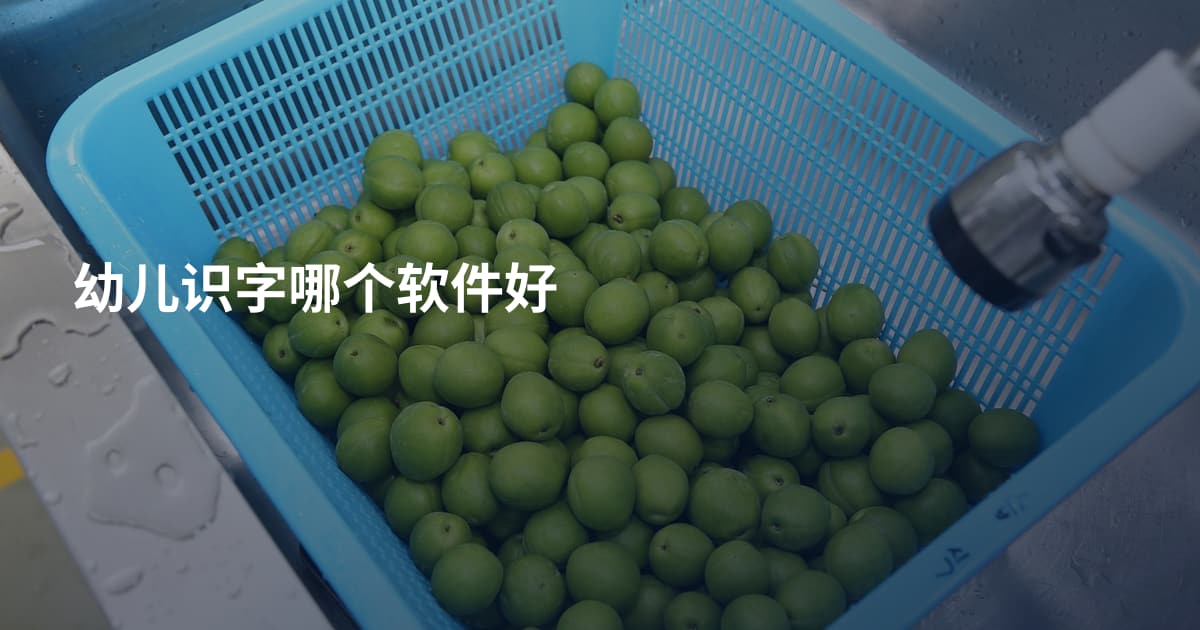 幼儿识字哪个软件好