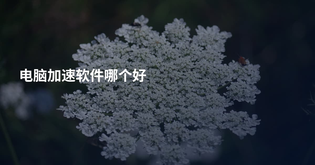电脑加速软件哪个好