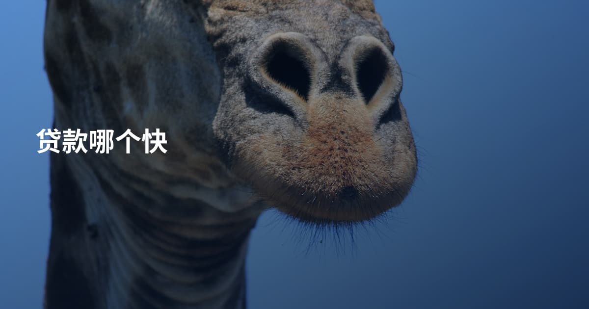 贷款哪个快