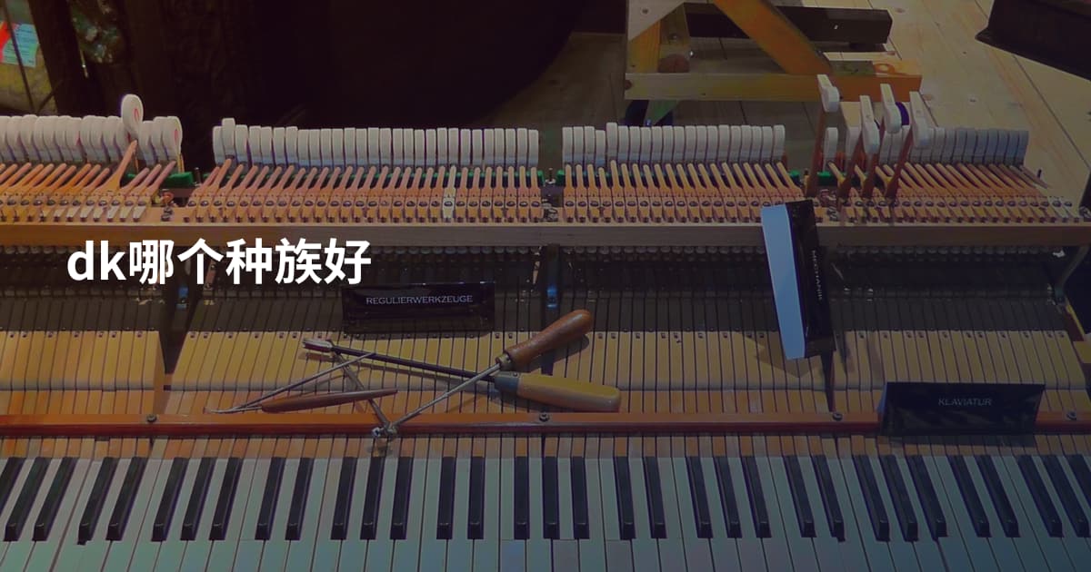 dk哪个种族好