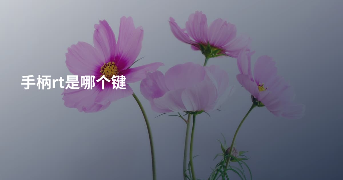 手柄rt是哪个键