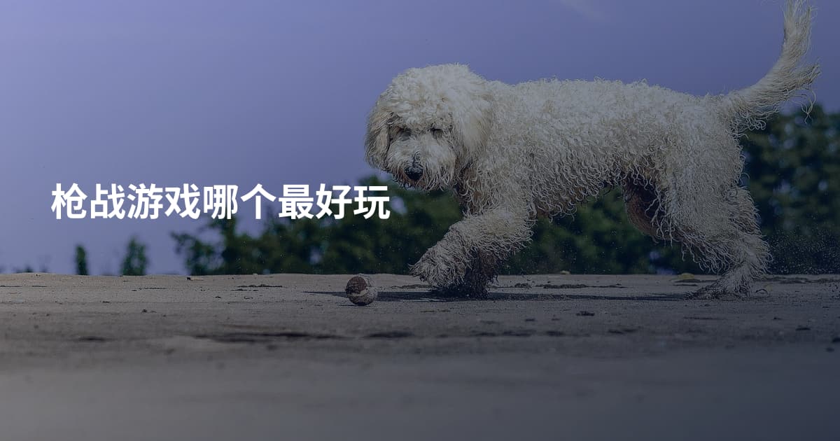 枪战游戏哪个最好玩