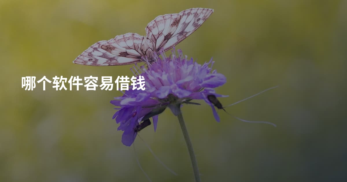 哪个软件容易借钱