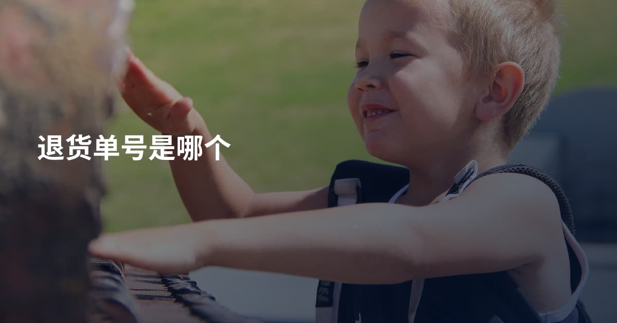 退货单号是哪个