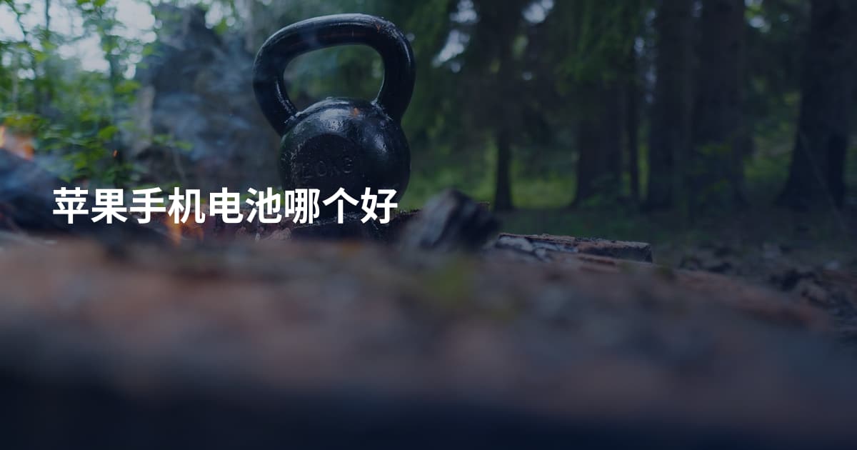 苹果手机电池哪个好