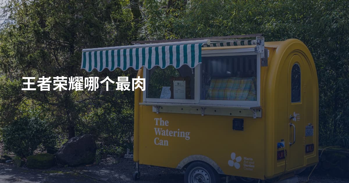 王者荣耀哪个最肉