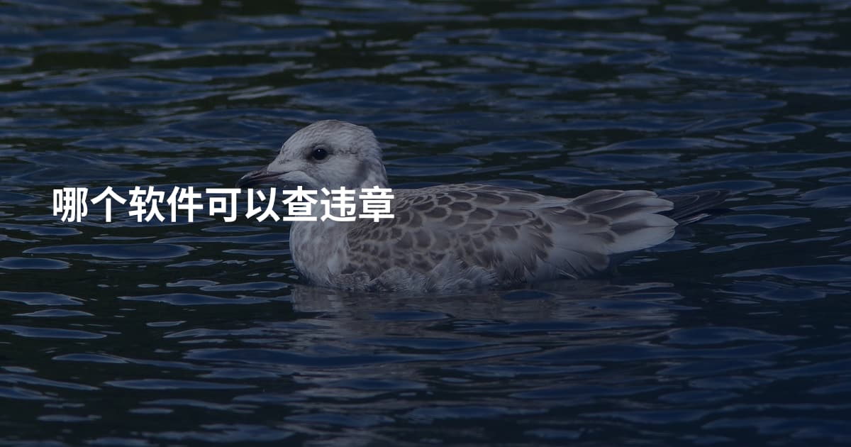 哪个软件可以查违章