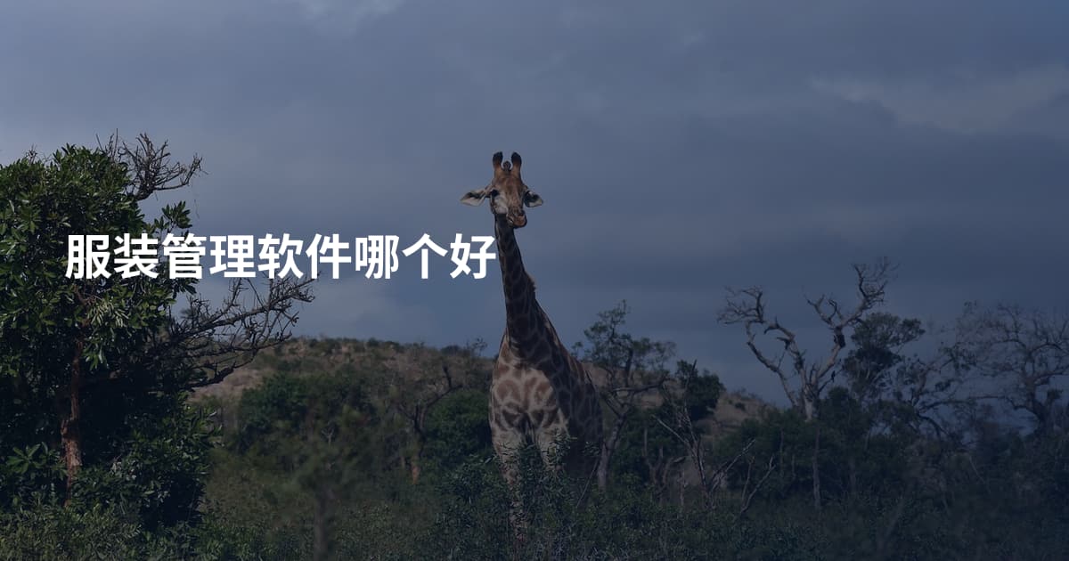 服装管理软件哪个好
