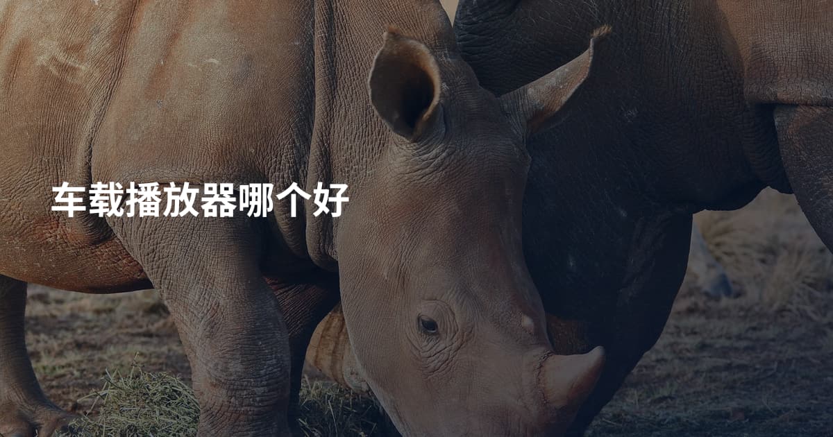 车载播放器哪个好