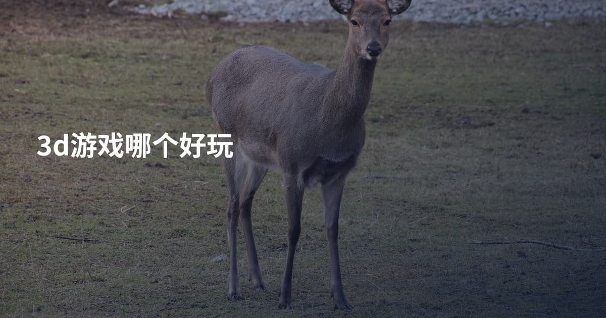 3d游戏哪个好玩