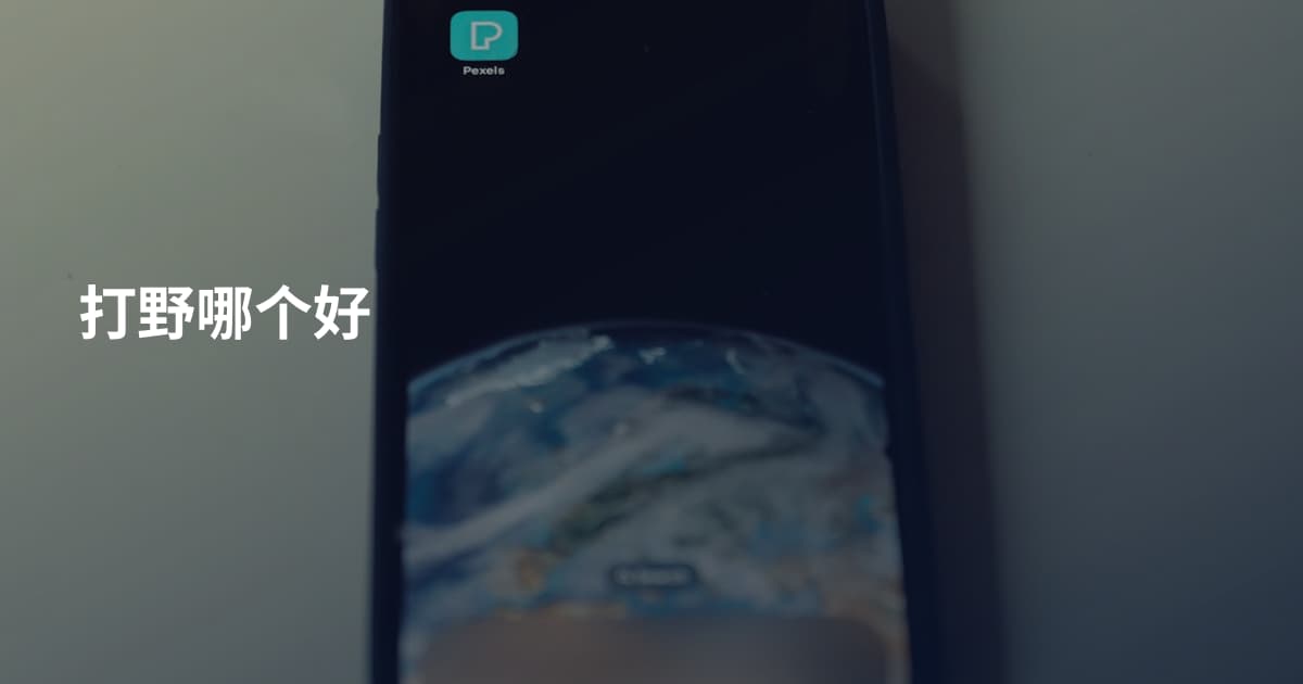 打野哪个好