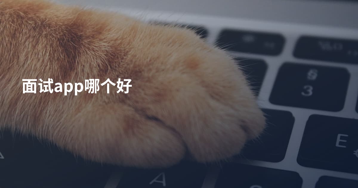 面试app哪个好