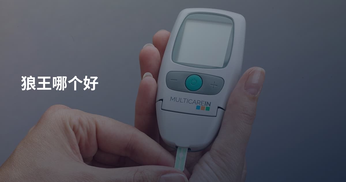 狼王哪个好