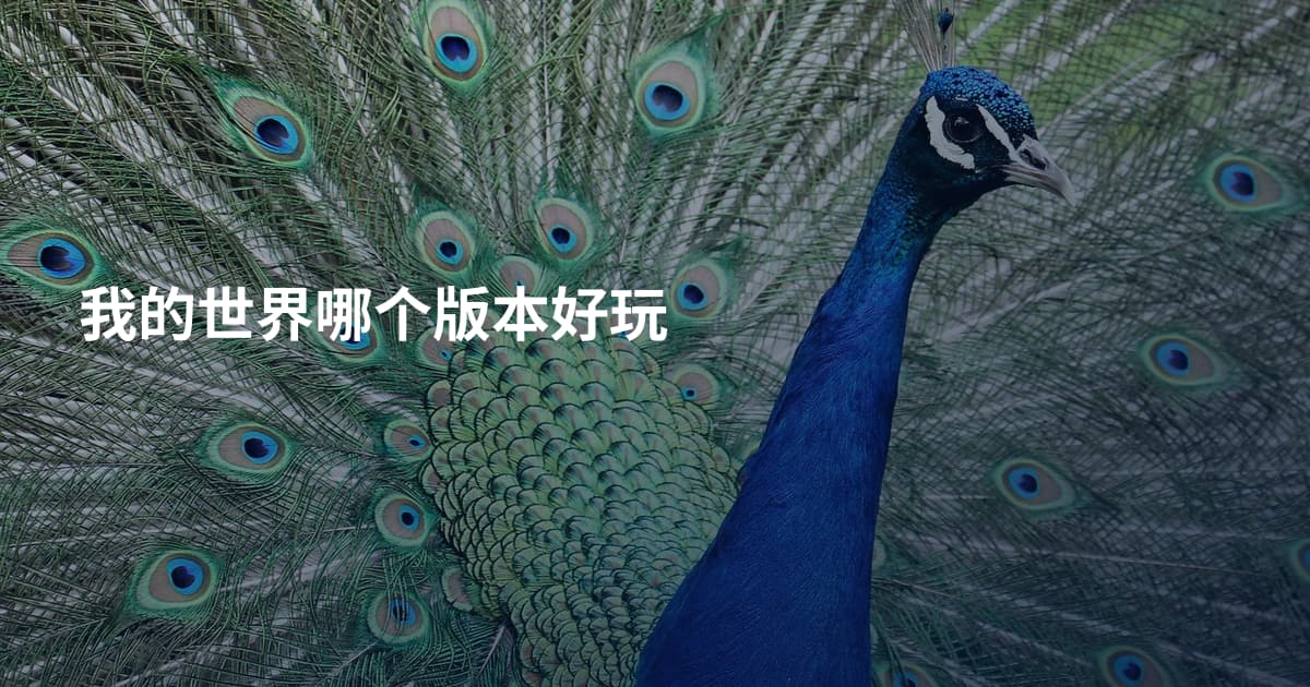 我的世界哪个版本好玩