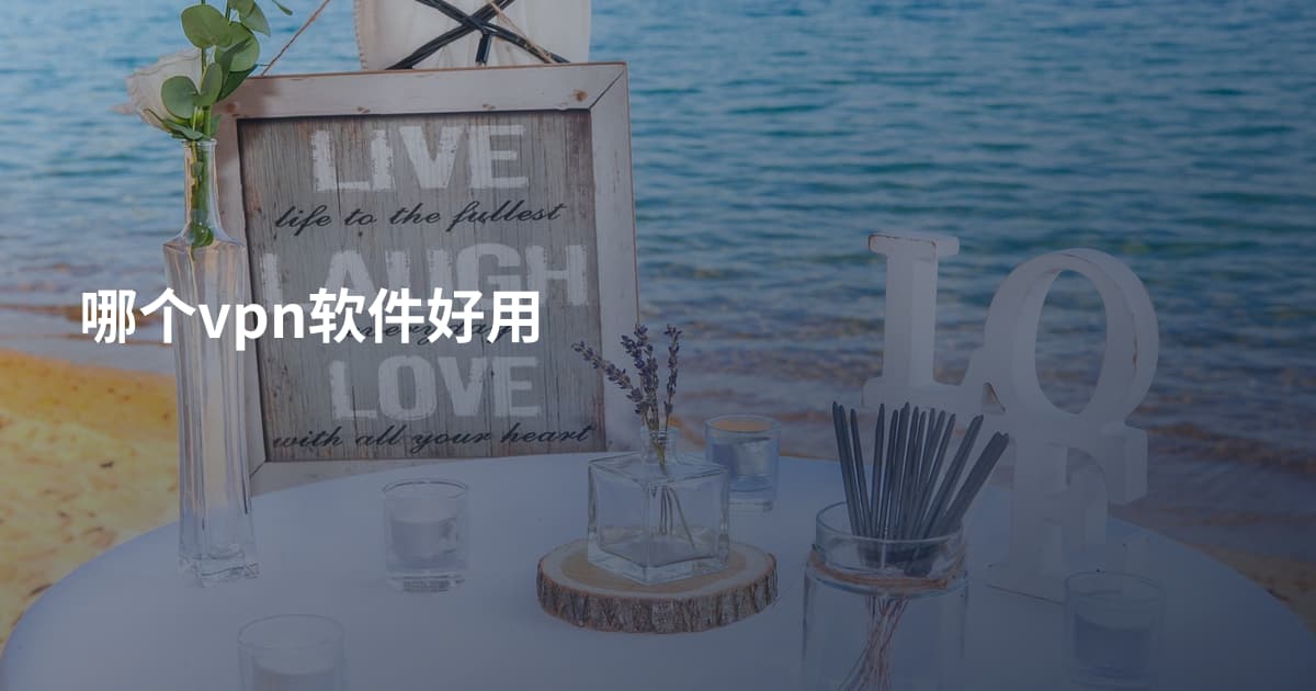 哪个vpn软件好用