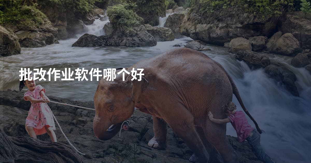 批改作业软件哪个好