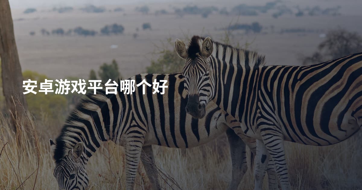 安卓游戏平台哪个好