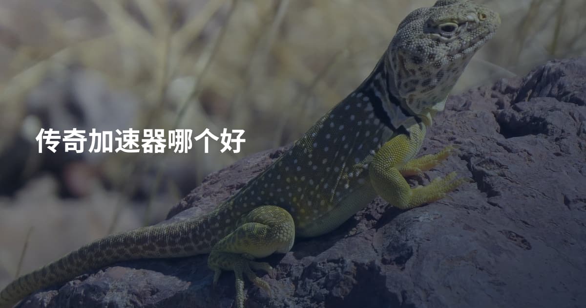 传奇加速器哪个好