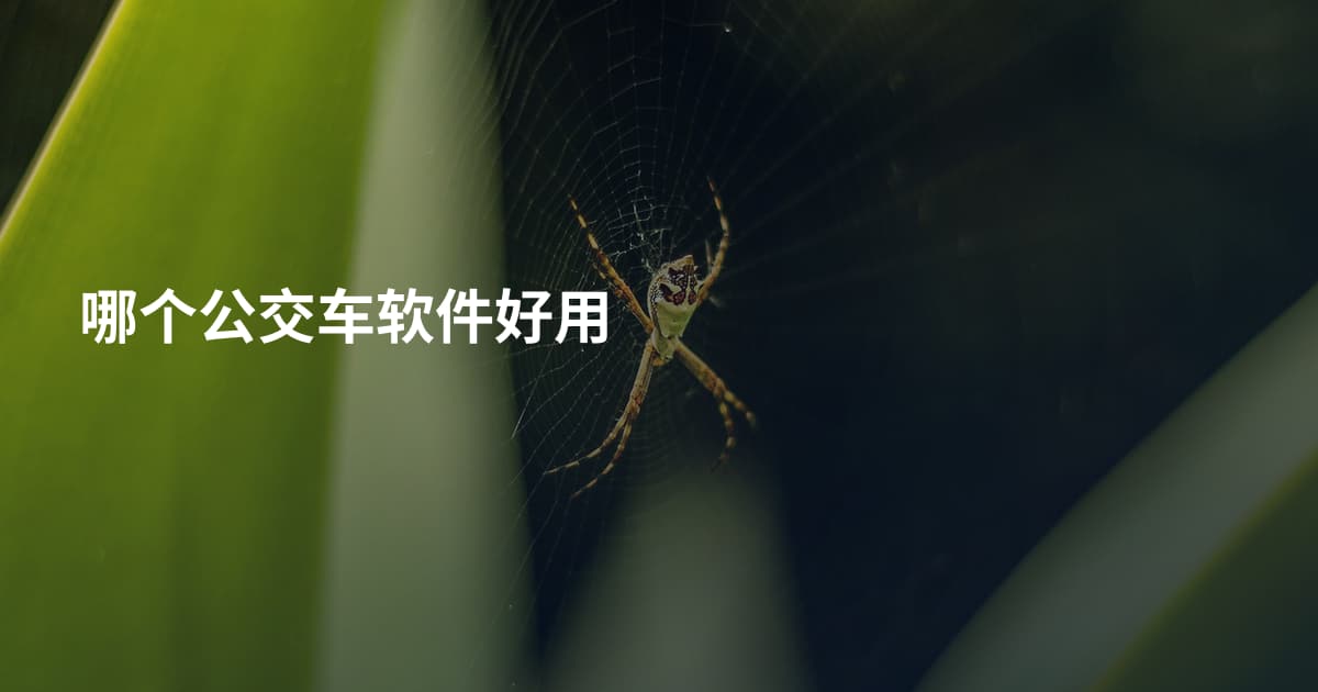 哪个公交车软件好用