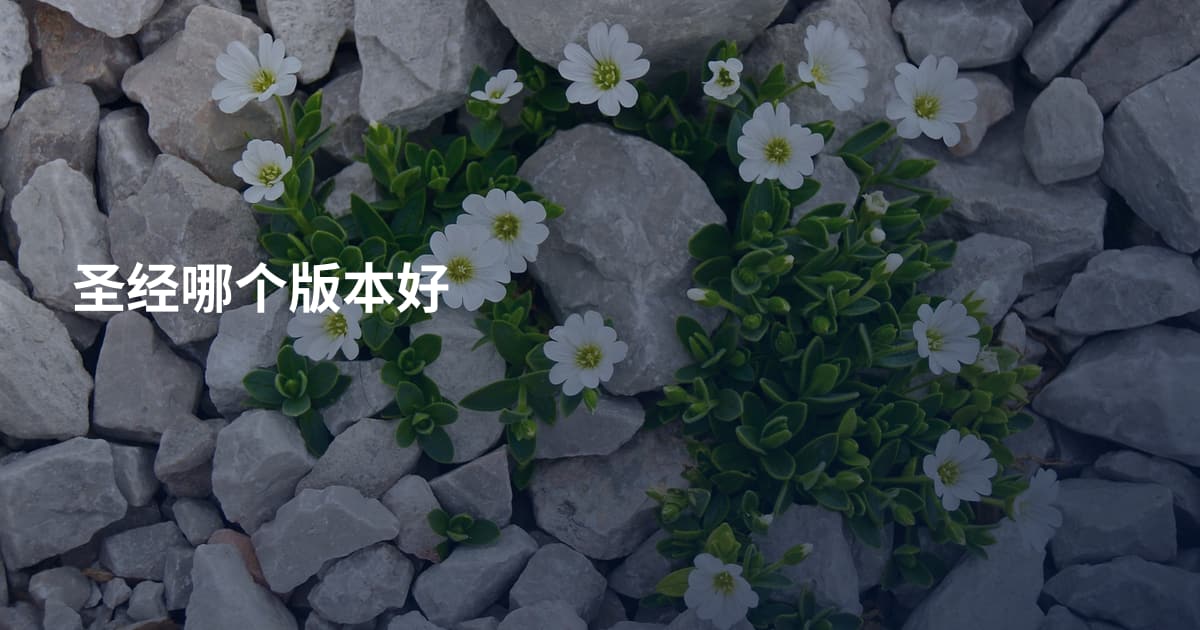 圣经哪个版本好