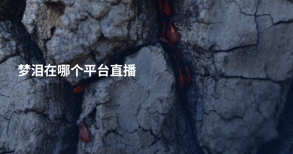梦泪在哪个平台直播