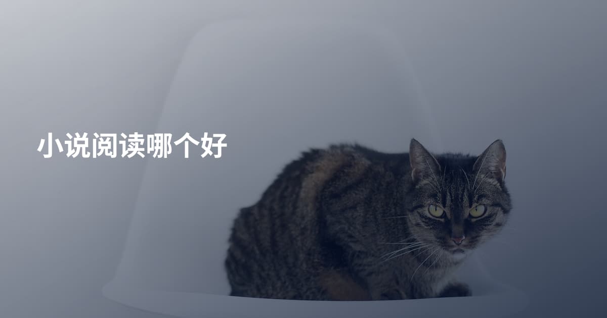 小说阅读哪个好