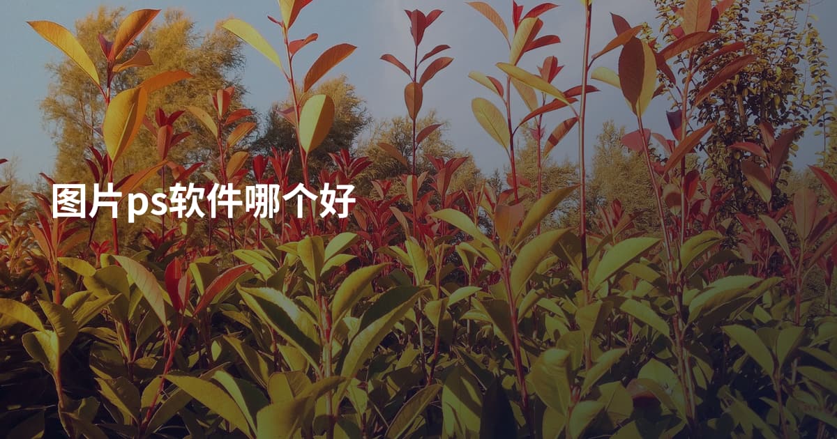 图片ps软件哪个好