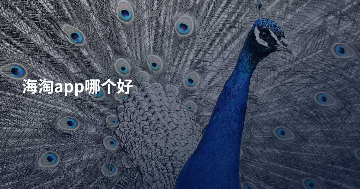 海淘app哪个好