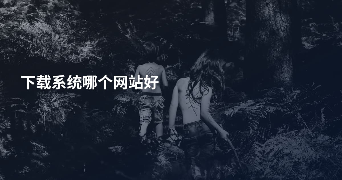 下载系统哪个网站好