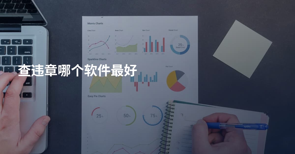 查违章哪个软件最好