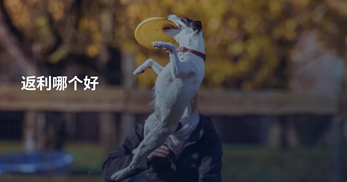 返利哪个好