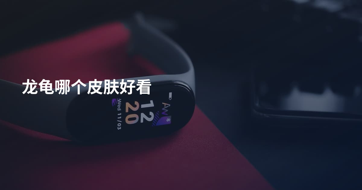 龙龟哪个皮肤好看