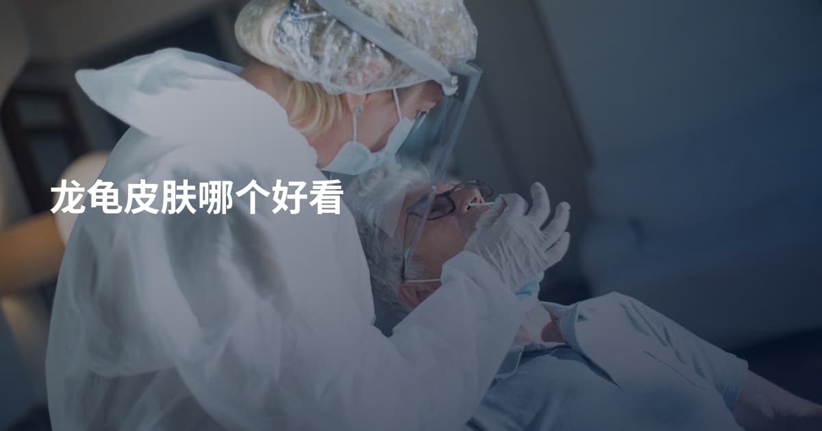 龙龟皮肤哪个好看