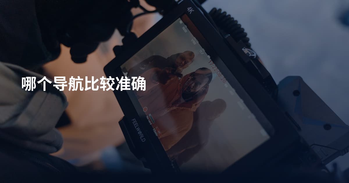 哪个导航比较准确