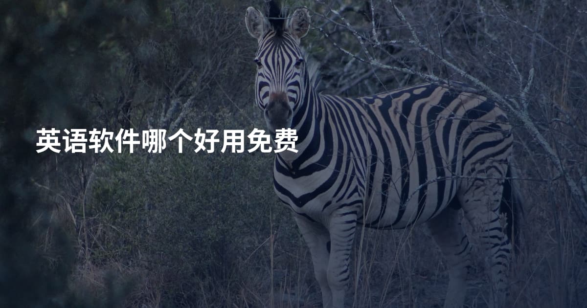 英语软件哪个好用免费