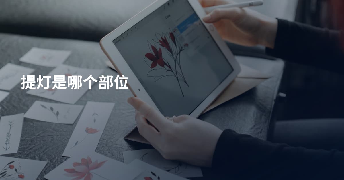 提灯是哪个部位