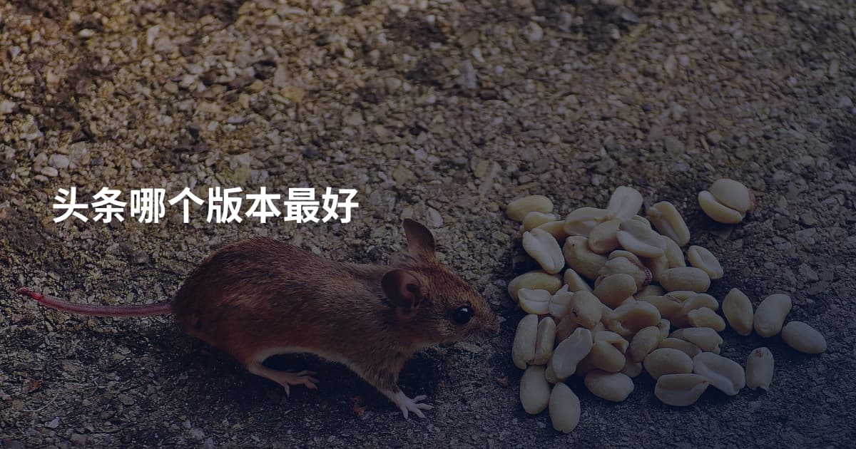 头条哪个版本最好