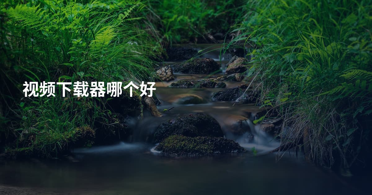 视频下载器哪个好