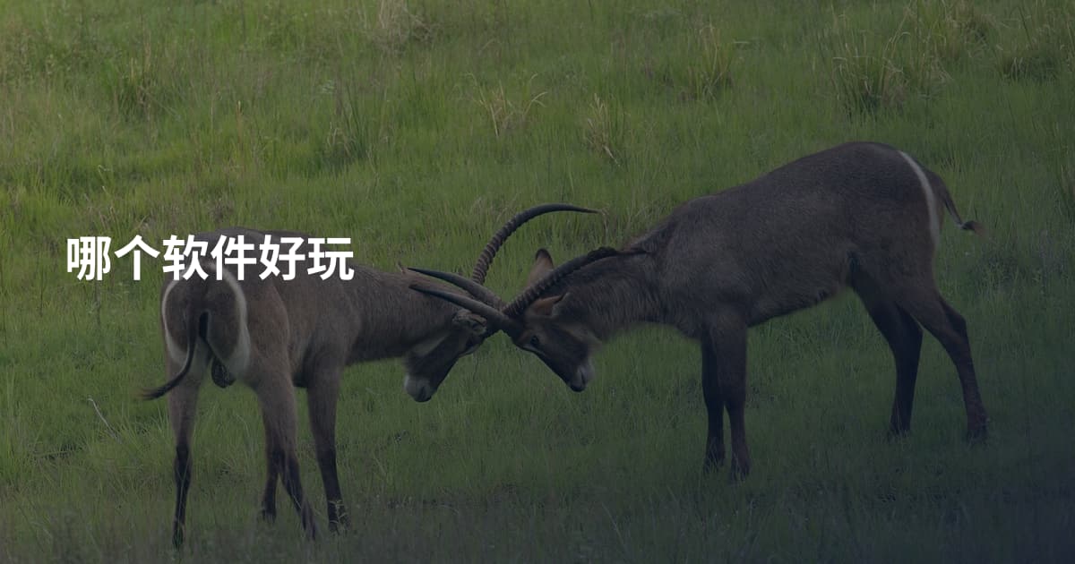 哪个软件好玩