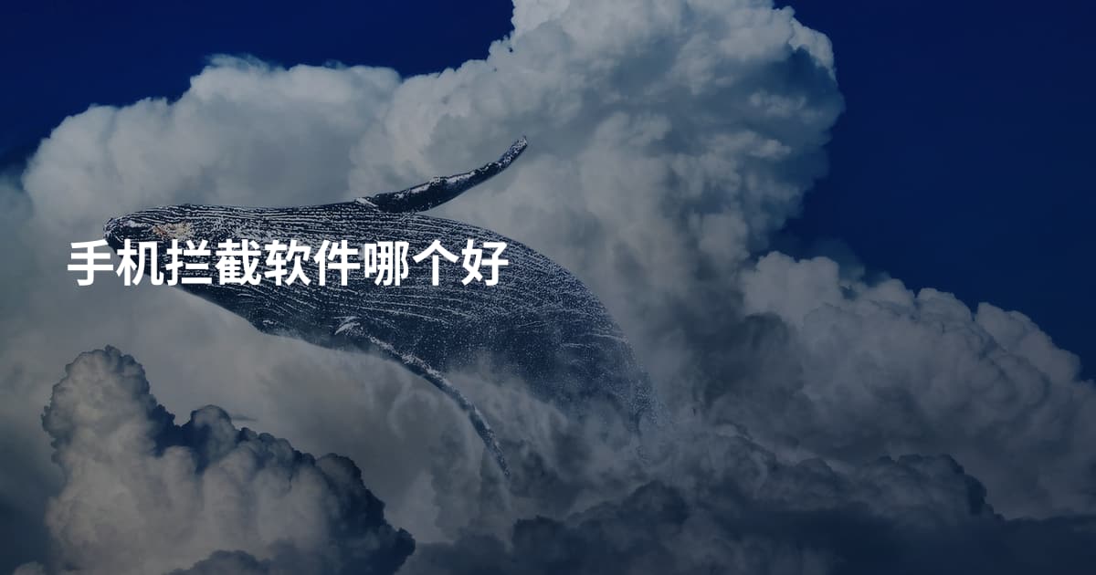 手机拦截软件哪个好